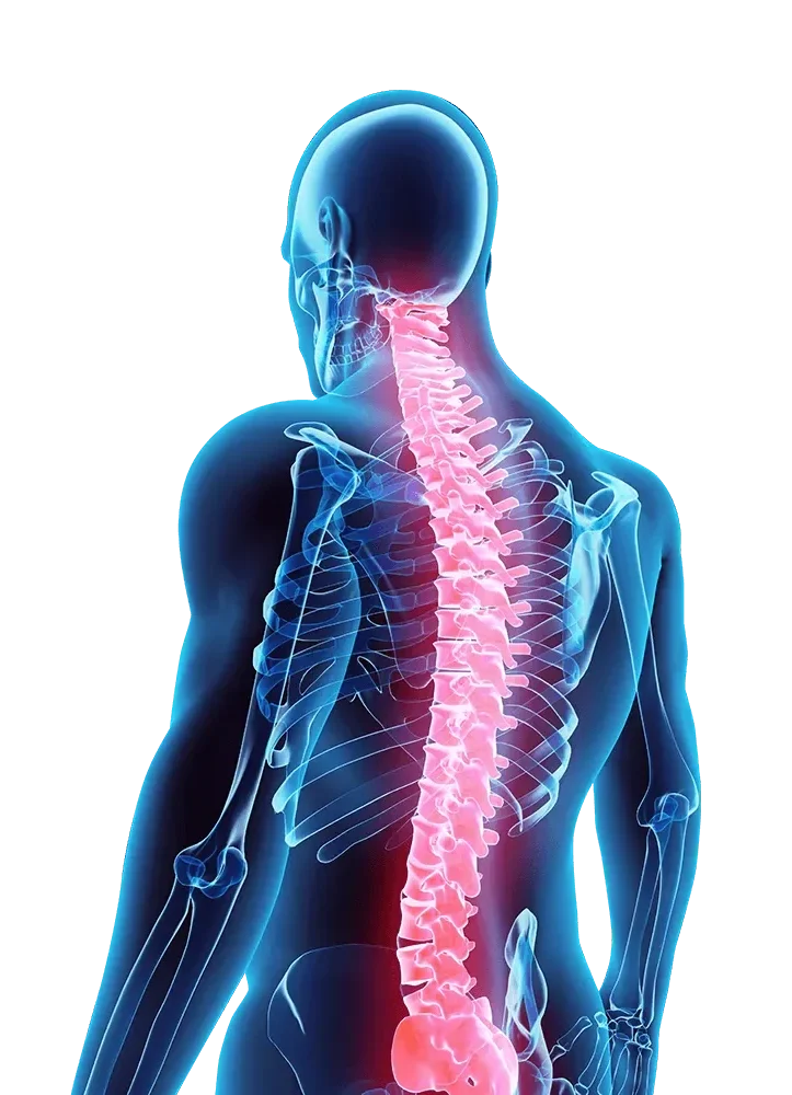 Image of a man's spine from head to lower back highlighted in pink